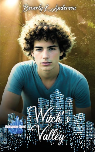 Witch's Valley Paperback