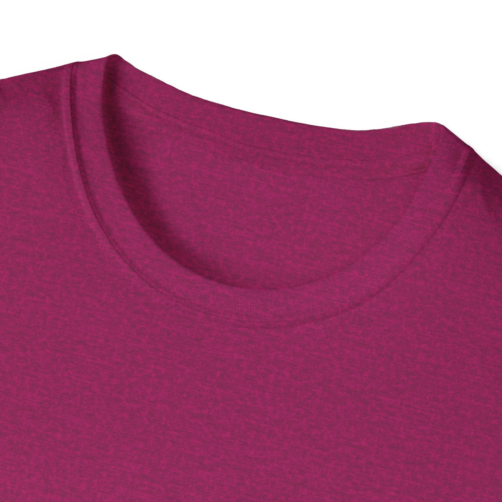 Writer's Unisex Softstyle T-Shirt - Perfect Gift for Authors, Comfortable Reading Tee, Quote Tee, Creative Writing Shirt