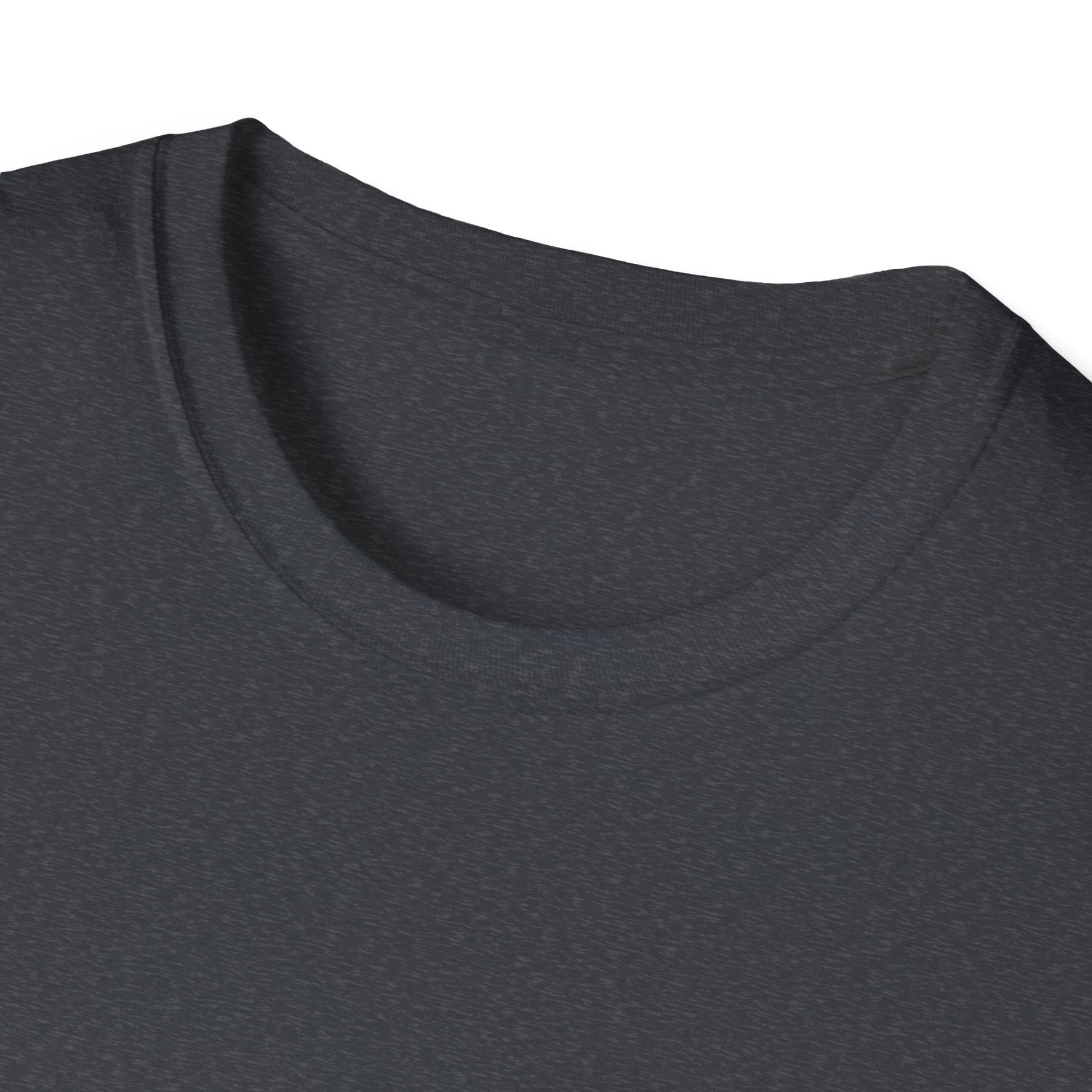 Writer's Unisex Softstyle T-Shirt - Perfect Gift for Authors, Comfortable Reading Tee, Quote Tee, Creative Writing Shirt