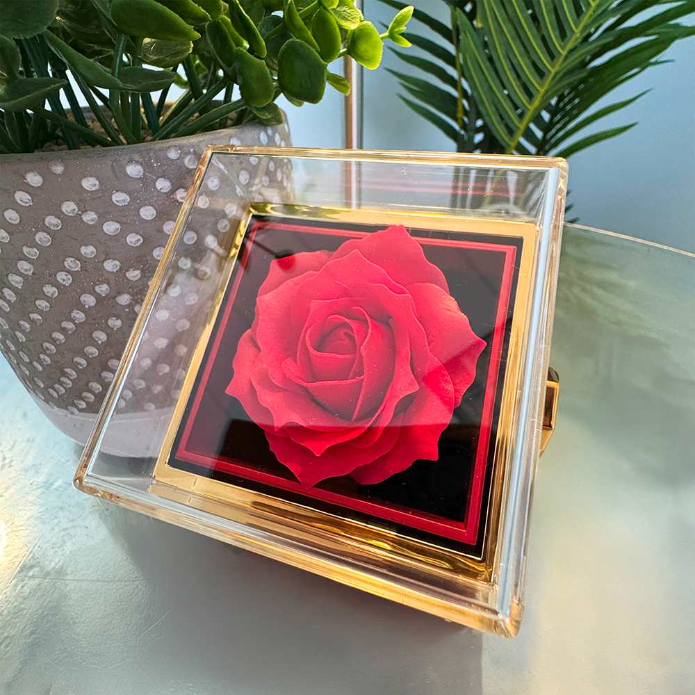 Beautiful Necklace in a Beautiful Box