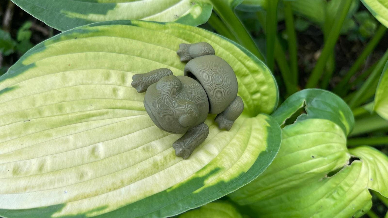 Flexi Frog Toy, Desk Toy